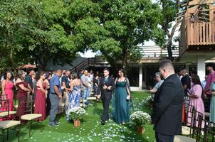 Plantas: imagem 15 de 15